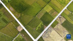 [field:title/]