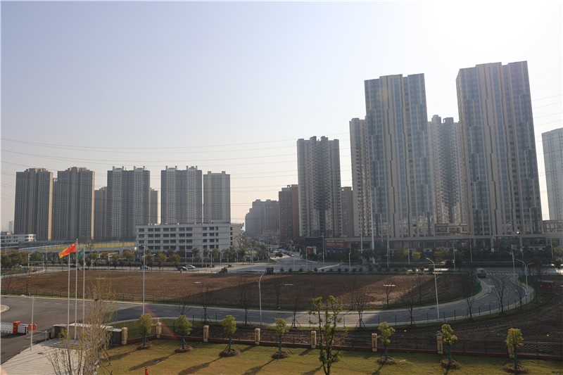 厂区门口空地（姜欣欣 摄