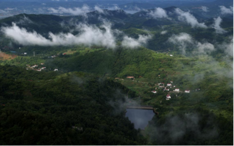 秦巴山深处的核桃树垭村。