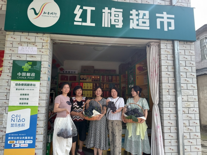 志愿者开展助农采摘活动。