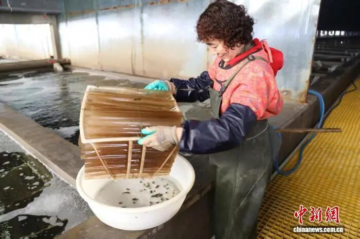 宸ヤ綔浜哄憳瑙傚療娴峰弬鐨勭敓闀裤佹憚椋熴佸仴搴风瓑鐘舵併傞潚宀涚憺婊嬮泦鍥㈡湁闄愬叕鍙镐緵鍥