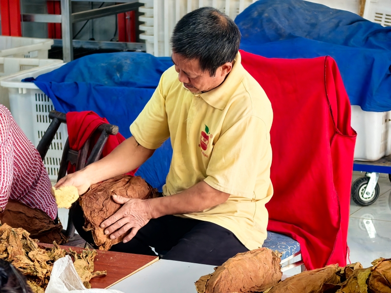 雪茄茄衣茄套初选。