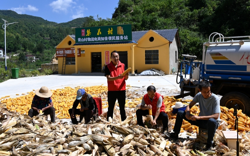 服务站前的直播。席曙光摄