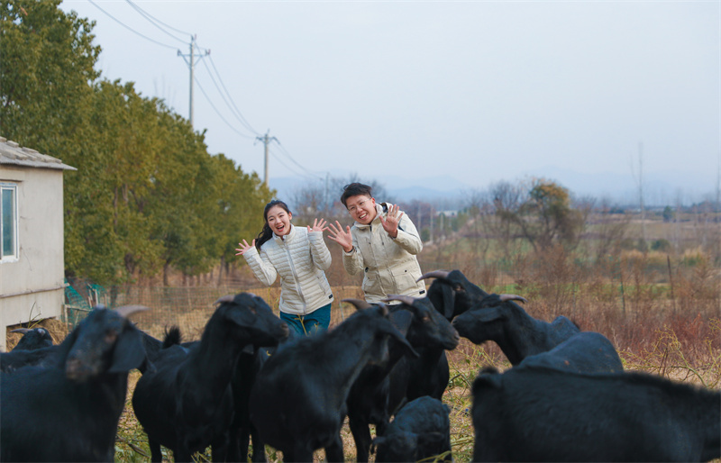 武烟融媒体中心为汉楼村特色产业黑山羊养殖拍摄宣传片。顾瑞轩摄