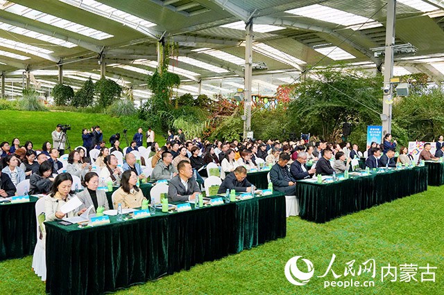 活动现场，众多参会人员专注聆听相关内容。实习生 牛佳摄