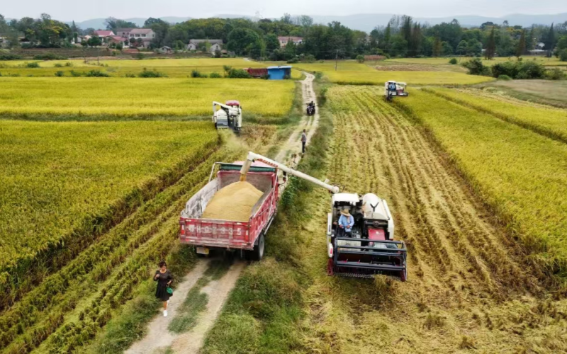 光大银行武汉分行助推乡村振兴。