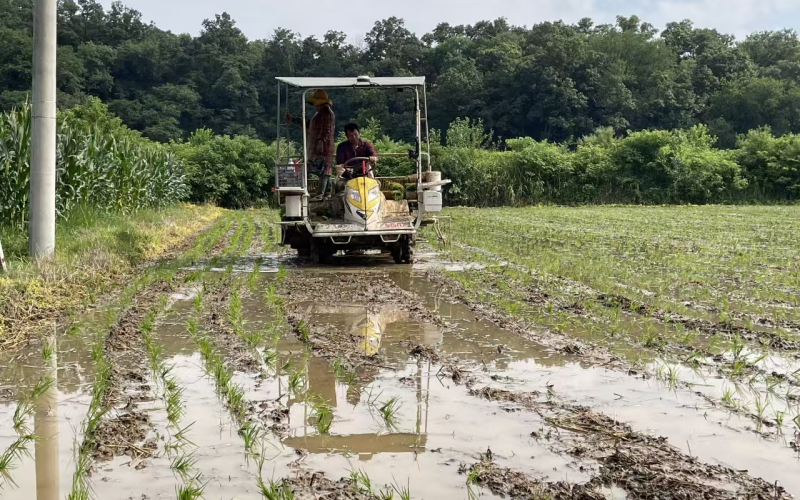 光大银行武汉分行助推乡村振兴。