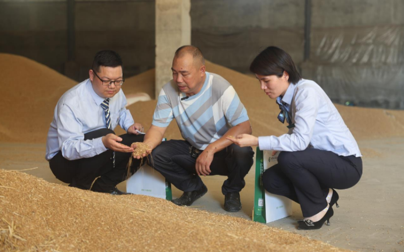 邮储银行京山市支行客户经理送“两农“信用价值贷款上门。