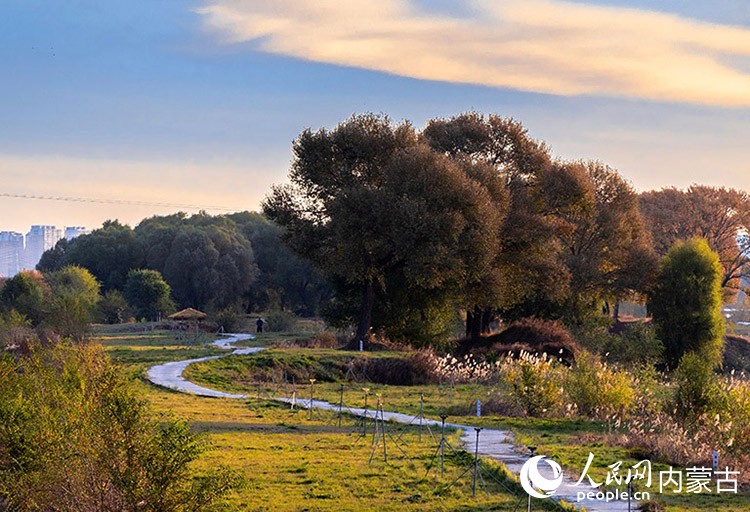 呼和浩特市大黑河郊野公园秋意正浓、景美如画。丁根厚摄