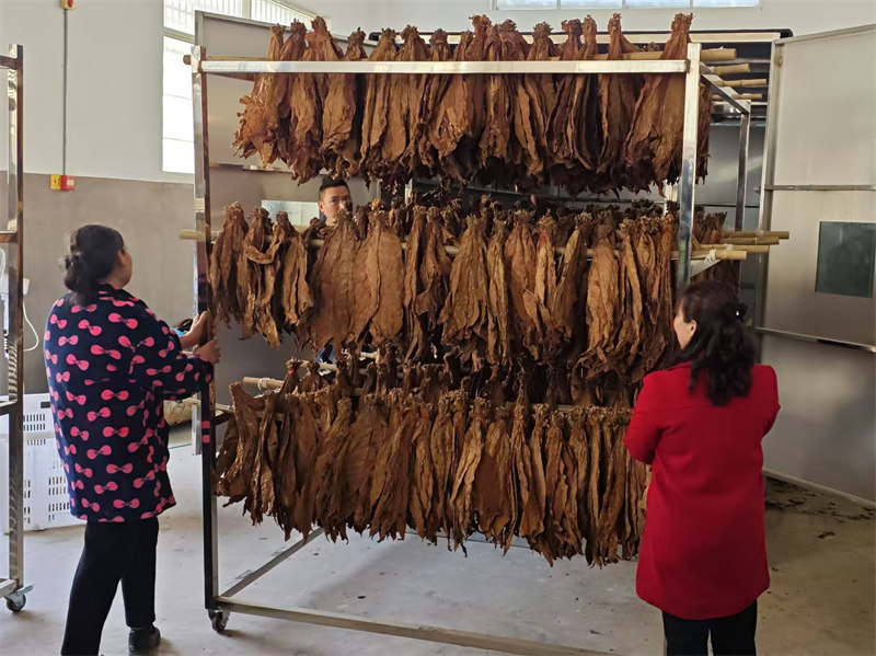 烟叶推入加湿装置