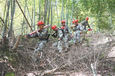 火箭军某部电力巡线分队官兵穿越深山密林检修线路。吴佳颖摄
