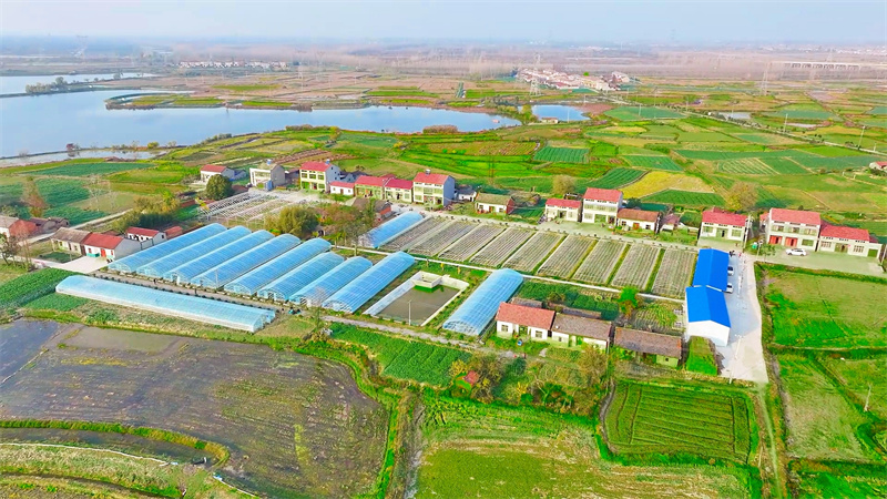 殷河村航拍俯瞰图