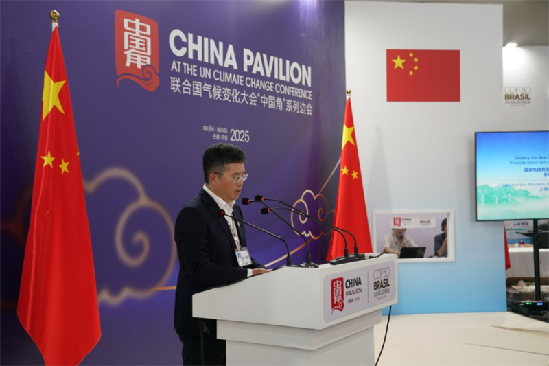 国家电网公司副总经理季明彬致辞。 主办方供图