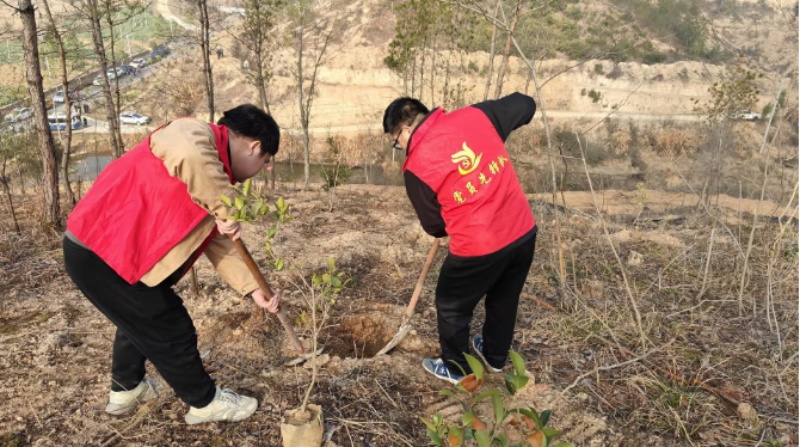 青年志愿者到黄土岗镇刘家岩村开展植树活动。