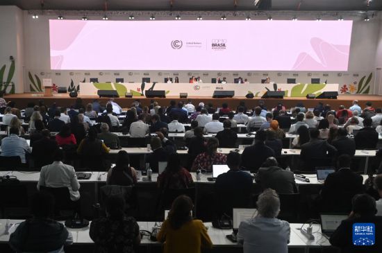   11月21日，代表参加在巴西贝伦举行的《联合国气候变化框架公约》第三十次缔约方大会（COP30）。 新华社发（卢西奥·塔沃拉 摄）