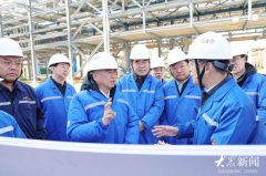 林武在东营调研 