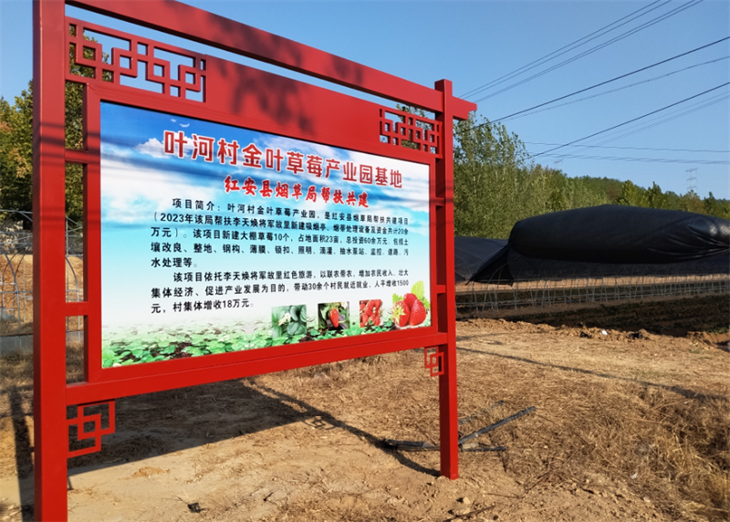 叶河村金叶草莓产业园基地